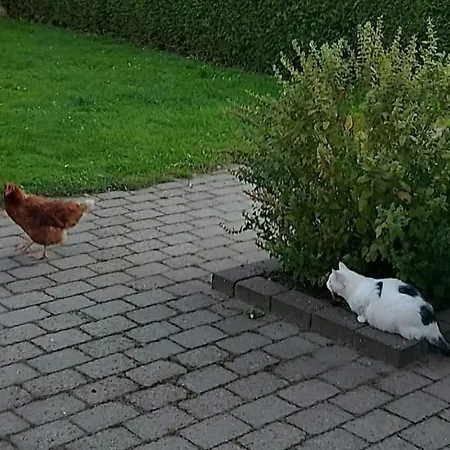 Postgaarden Frøslev * Padborg