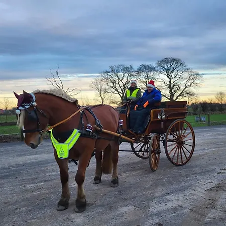 Postgaarden Froslev Appartamento Padborg