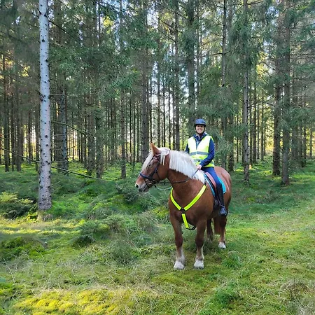 Lejlighed Postgaarden Frøslev Padborg