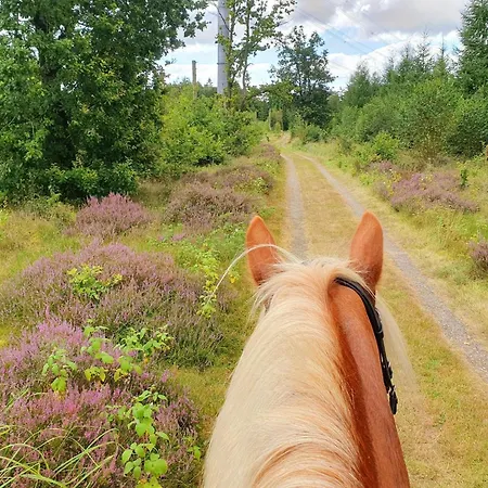 Postgaarden Froslev *